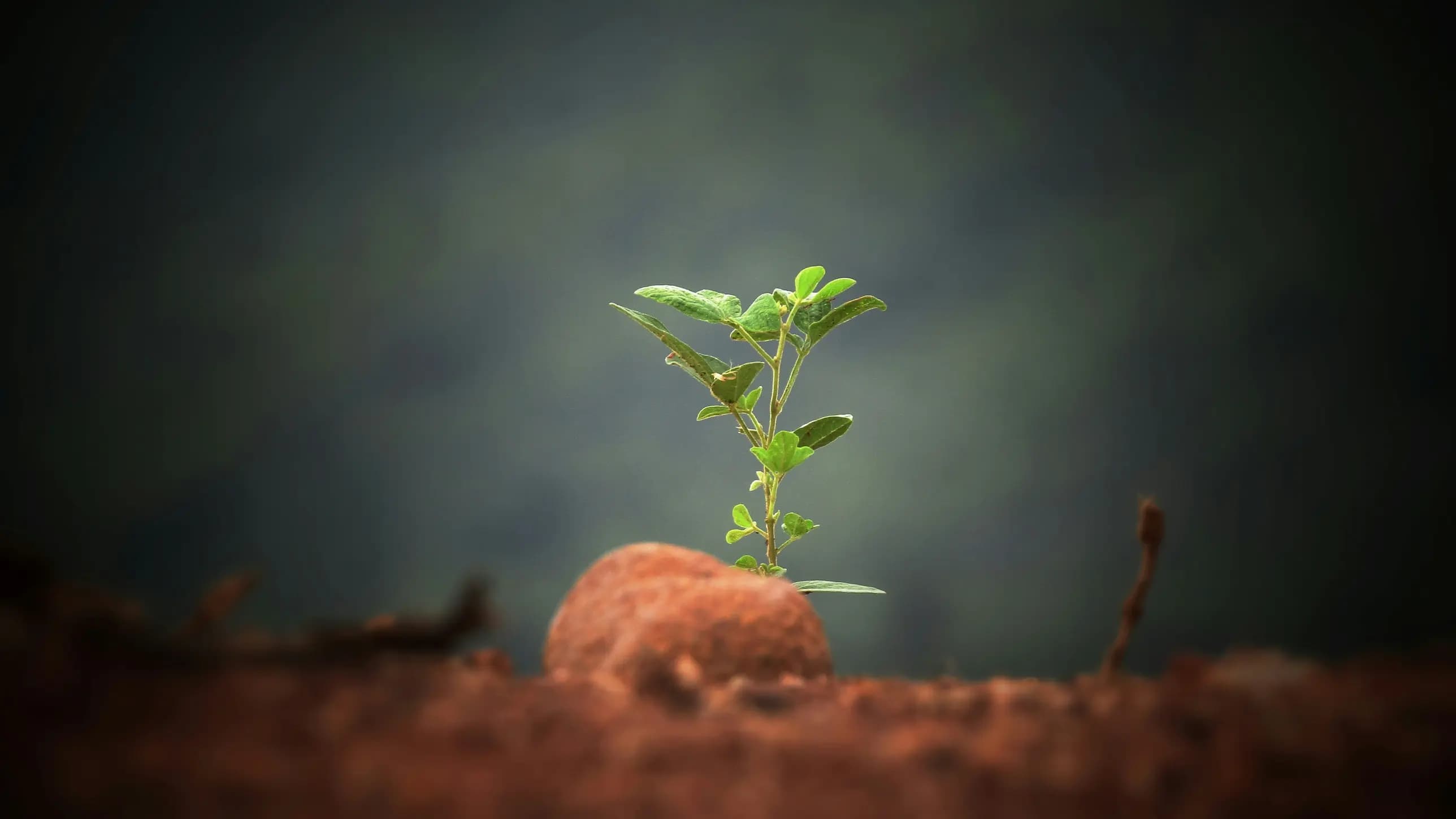 Decouvrir l'entrepreneuriat